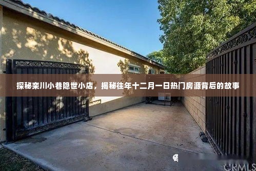 探秘栾川小巷隐世小店与十二月一日热门房源背后的故事