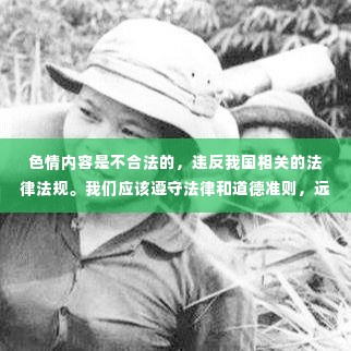 警惕色情内容风险，选择健康娱乐方式，寻找正规平台与文化活动的重要性