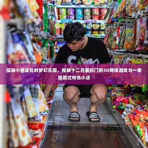 探秘梦幻乐园，揭秘十二月热门3D网游与隐藏特色小巷店铺