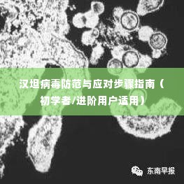 汉坦病毒防范与应对全攻略，从初学者到进阶用户的实用指南