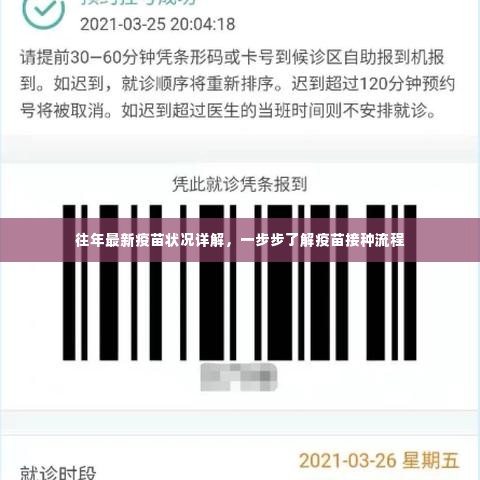 往年疫苗最新状况详解，疫苗接种流程全面解析