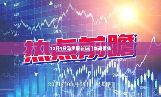 12月1日马里热门新闻聚焦