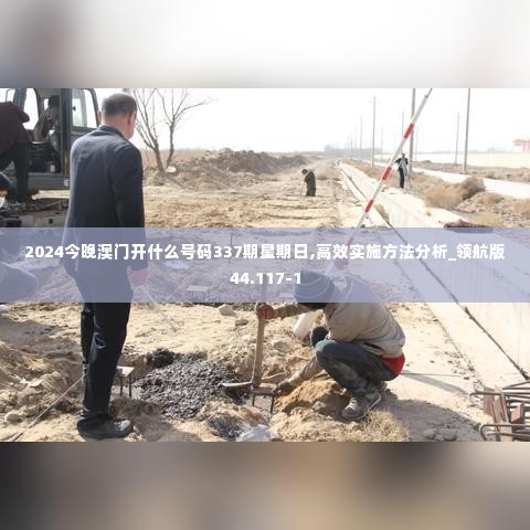 2024今晚澳门开什么号码337期星期日,高效实施方法分析_领航版44.117-1