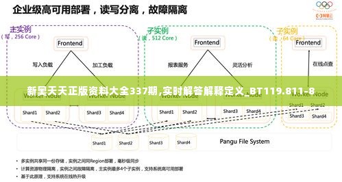 新奥天天正版资料大全337期,实时解答解释定义_BT119.811-8