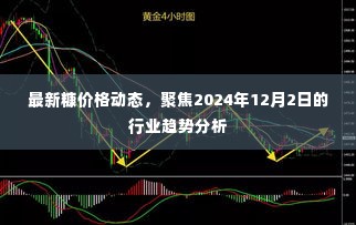 聚焦糠市场，最新价格动态与行业趋势分析（2024年12月2日）