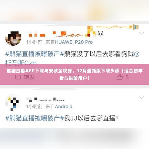 熊猫直播APP下载与安装全攻略，最新版下载步骤，适合初学者与进阶用户