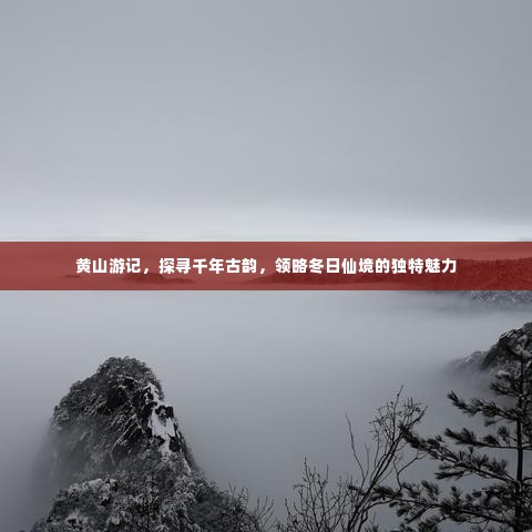 黄山冬韵，探寻千年古韵，领略仙境独特魅力