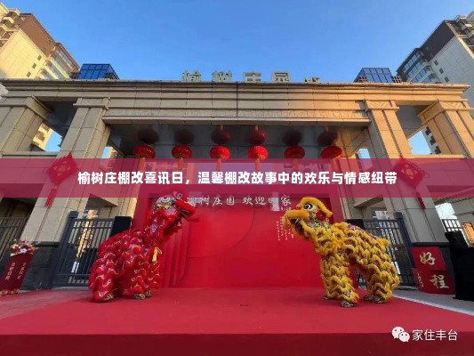 榆树庄棚改喜讯背后的温馨故事与情感纽带