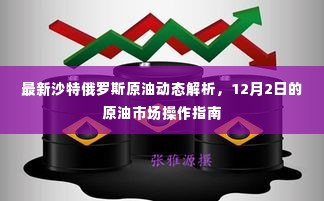 最新沙特俄罗斯原油动态解析及操作指南，12月2日原油市场洞察