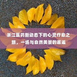 浙江医药新动态下的心灵疗愈之旅，自然美景与心灵邂逅