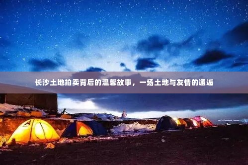 长沙土地拍卖背后的友情邂逅，土地与友情的交织故事