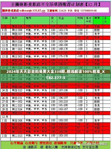 2024年天天彩资料免费大全338期,精选解读100%精准_XT82.377-5