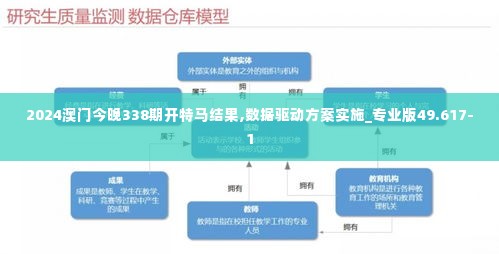 2024澳门今晚338期开特马结果,数据驱动方案实施_专业版49.617-1