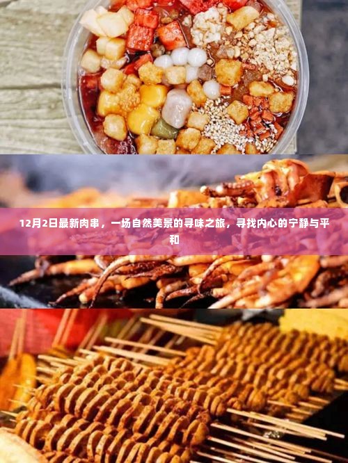 12月2日最新肉串，自然美景中的味觉盛宴，探寻内心的宁静与平和之旅