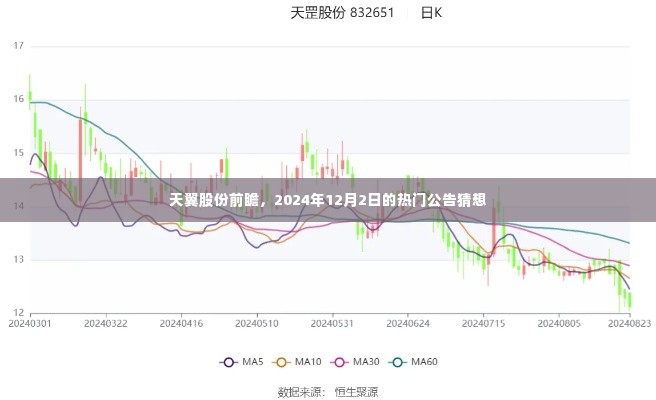 天翼股份前瞻布局，热门公告猜想揭秘，展望2024年12月2日动态