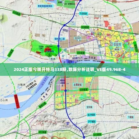 2024正版今晚开特马338期,数据分析说明_VE版49.968-4