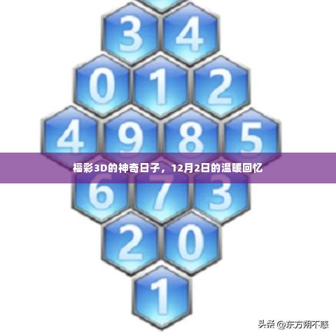 福彩3D神奇日子，12月2日的幸运与温暖回忆