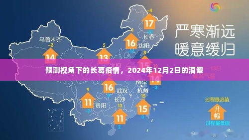 长葛疫情预测视角，2024年12月2日的深度洞察