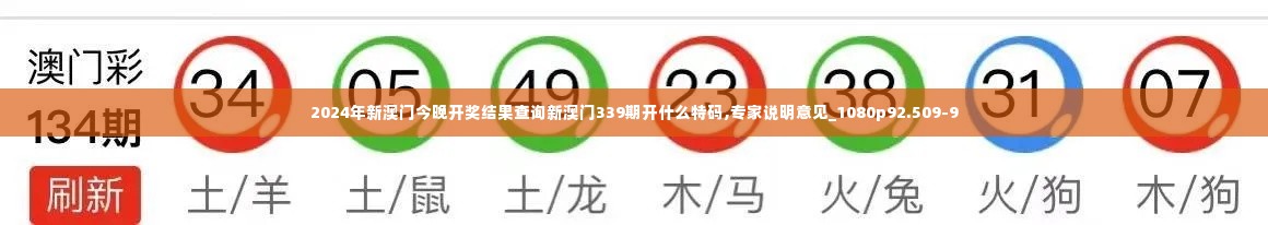 2024年新澳门今晚开奖结果查询新澳门339期开什么特码,专家说明意见_1080p92.509-9