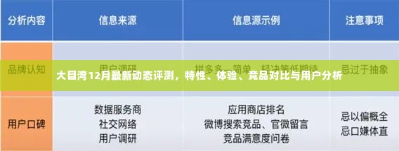 大目湾12月全方位评测，特性、体验、竞品对比及用户深度分析