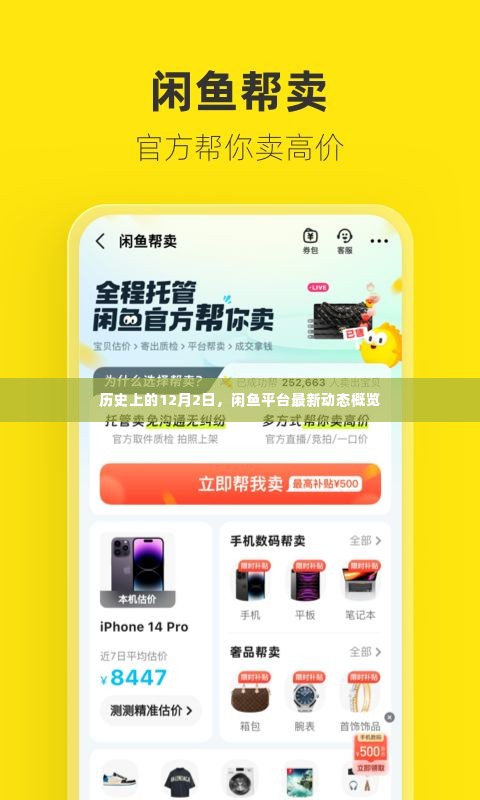闲鱼平台最新动态概览，历史12月2日回顾