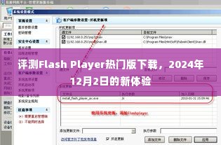 评测Flash Player热门版下载，最新体验报告（2024年12月2日）