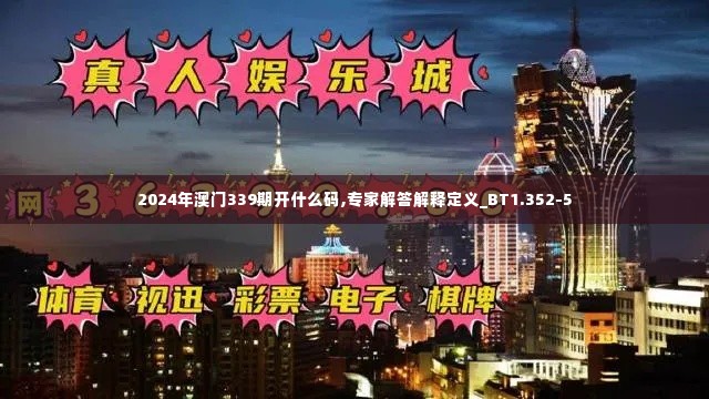 2024年澳门339期开什么码,专家解答解释定义_BT1.352-5