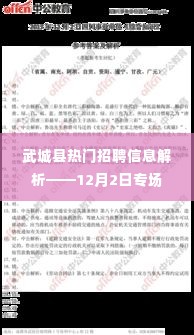 武城县热门招聘信息解析，12月2日专场招聘会概览