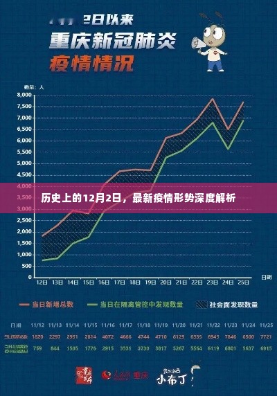 12月2日最新疫情形势深度解析报告