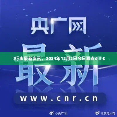 行唐最新资讯速递，2024年12月2日看点一览