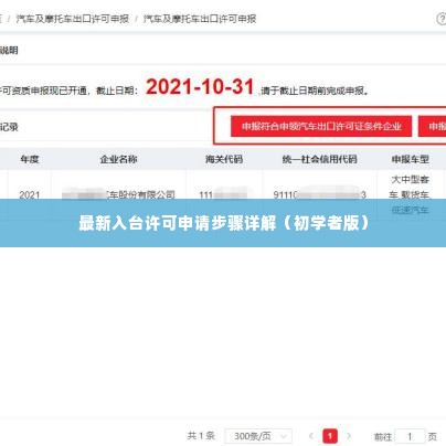 最新入台许可申请步骤详解指南（初学者版）