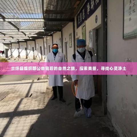 兰坪县组织部公告背后的自然探索之旅，美景与心灵净土的寻访