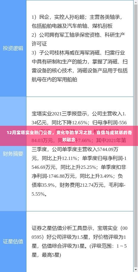 宝塔实业12月热门公告，学习之旅中的变化与挑战，自信与成就感的融合之路