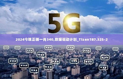 2024今晚正确一肖340,数据驱动计划_Tizen187.325-2