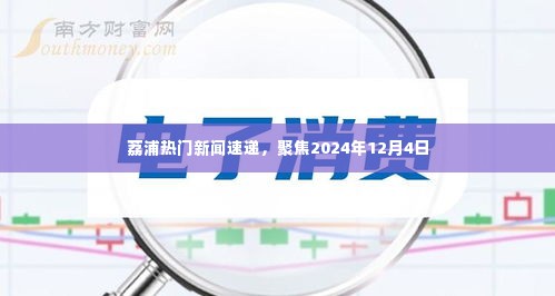 荔浦热点新闻聚焦，2024年12月4日动态速递