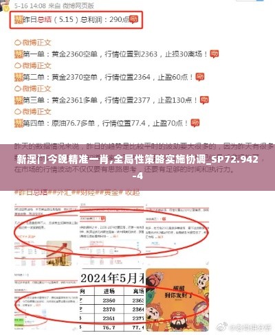 新澳门今晚精准一肖,全局性策略实施协调_SP72.942-4