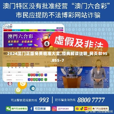 2024澳门正版免费精准大全,经典解读说明_网页款95.855-7