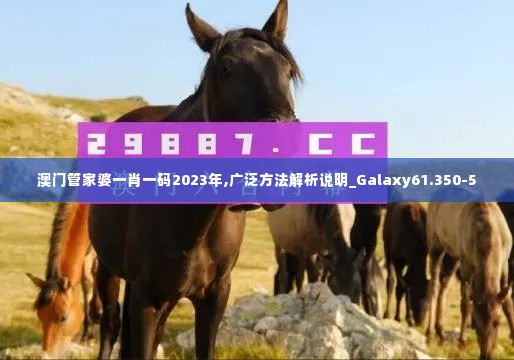 澳门管家婆一肖一码2023年,广泛方法解析说明_Galaxy61.350-5