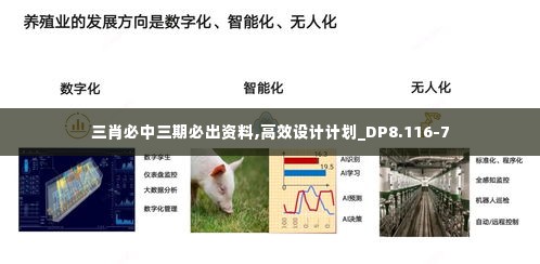 三肖必中三期必出资料,高效设计计划_DP8.116-7