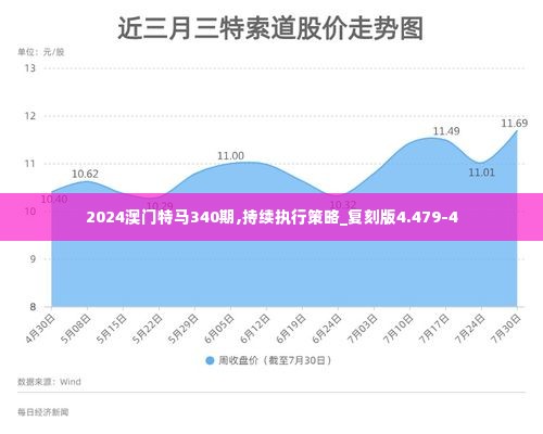 2024澳门特马340期,持续执行策略_复刻版4.479-4