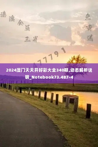 2024澳门天天开好彩大全340期,动态解析说明_Notebook73.487-4