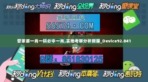 管家婆一肖一码必中一肖,实地考察分析数据_Device92.841