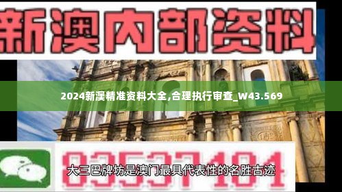 2024新澳精准资料大全,合理执行审查_W43.569