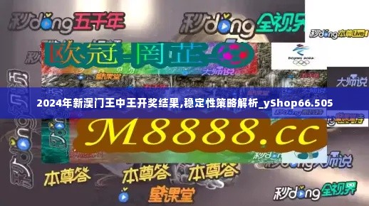 2024年新澳门王中王开奖结果,稳定性策略解析_yShop66.505