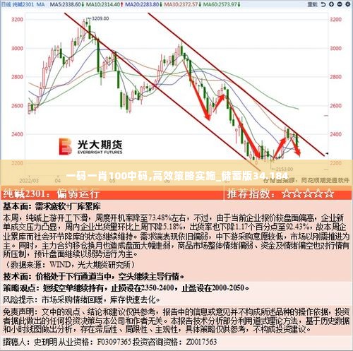 一码一肖100中码,高效策略实施_储蓄版34.184