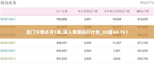 澳门今晚必开1肖,深入数据执行计划_XE版64.751