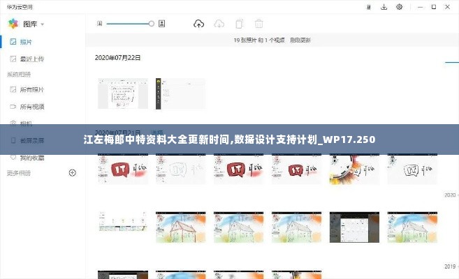 江左梅郎中特资料大全更新时间,数据设计支持计划_WP17.250