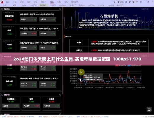 2o24澳门今天晚上开什么生肖,实地考察数据策略_1080p51.978