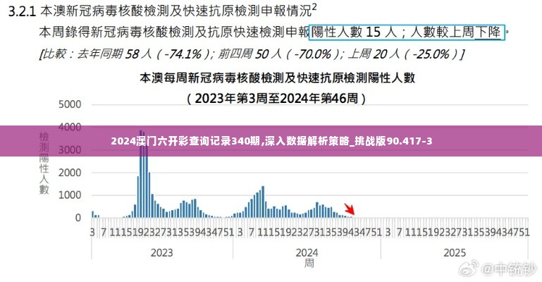 2024澳门六开彩查询记录340期,深入数据解析策略_挑战版90.417-3