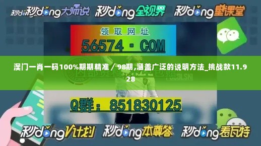 澳门一肖一码100%期期精准／98期,涵盖广泛的说明方法_挑战款11.928